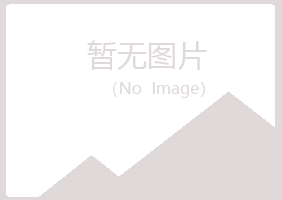 白银平川访蕊咨询有限公司